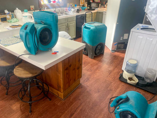 Best 24/7 water damage repair  in Velda City, MO