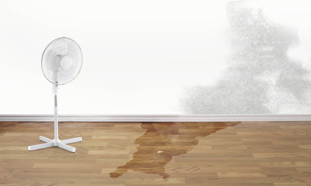 Carpet water damage restoration in Velda City, MO