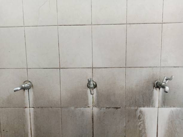 Best Water damage repair service  in Velda City, MO