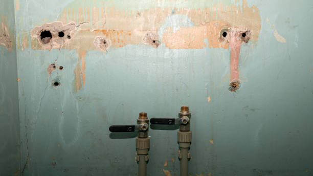 Best Residential water damage restoration  in Velda City, MO